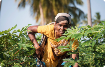 If you think all natural and organic are the same, read this blog